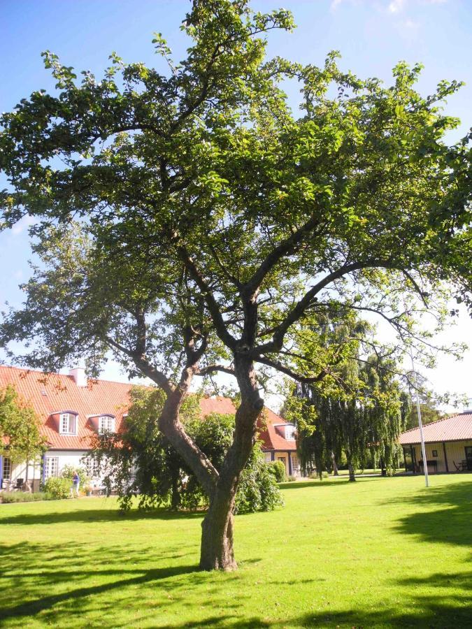 Inspiration Center Denmark, Bed & Breakfast Марибо Екстериор снимка