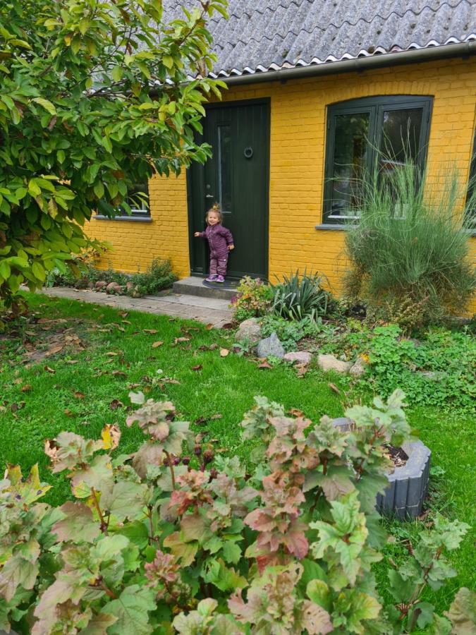 Inspiration Center Denmark, Bed & Breakfast Марибо Екстериор снимка